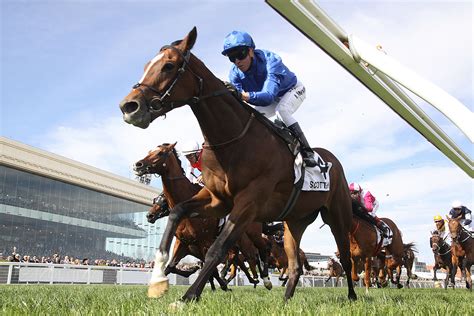 emirates stakes horses